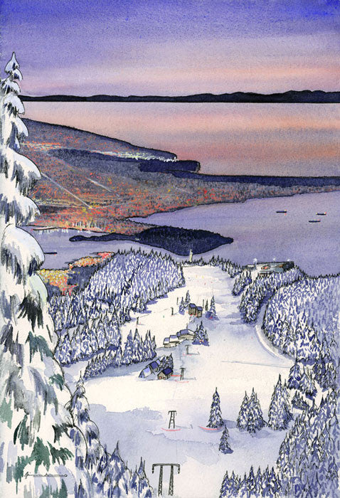 Vancouver from Grouse Mountain