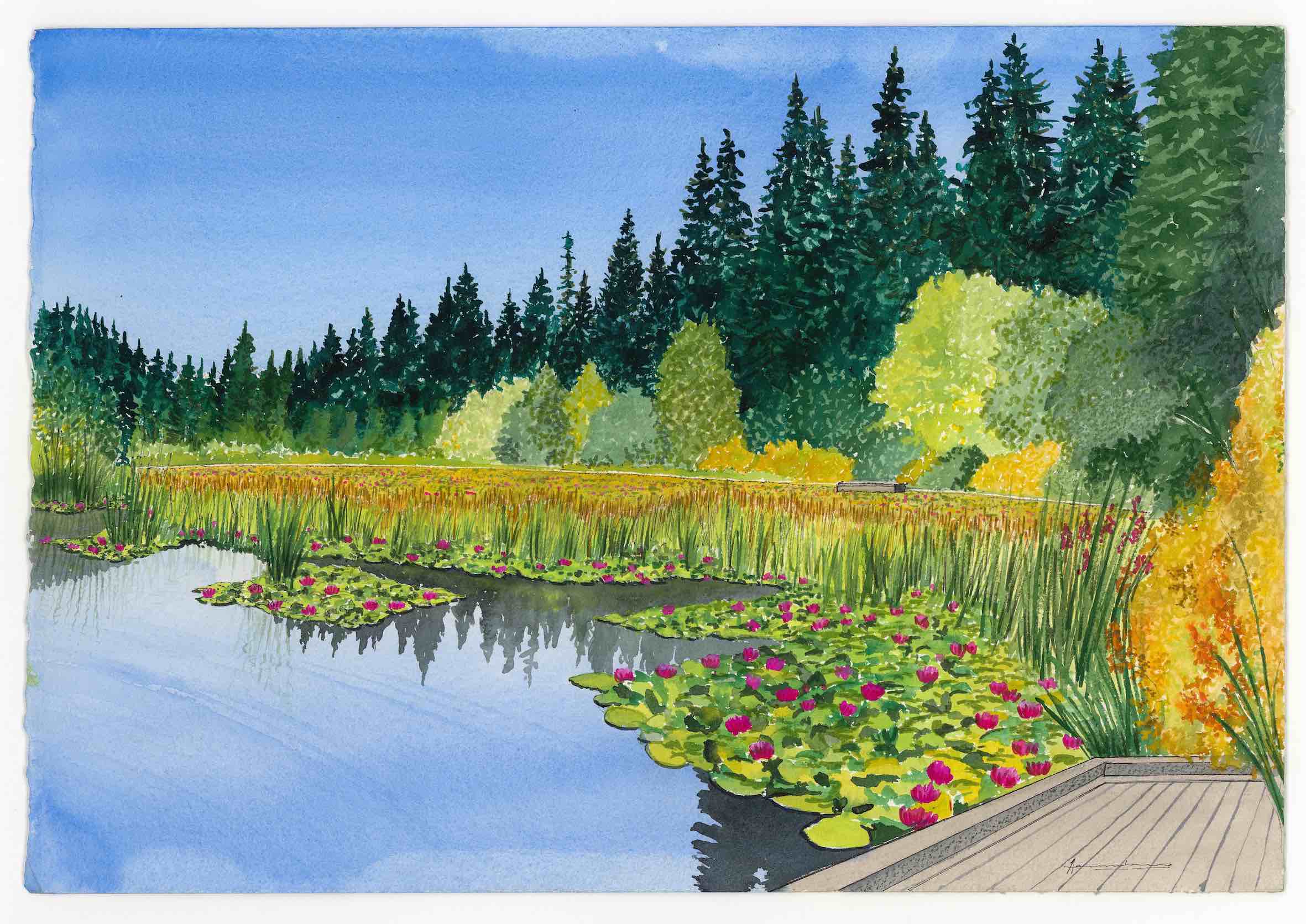 Beaver Lake