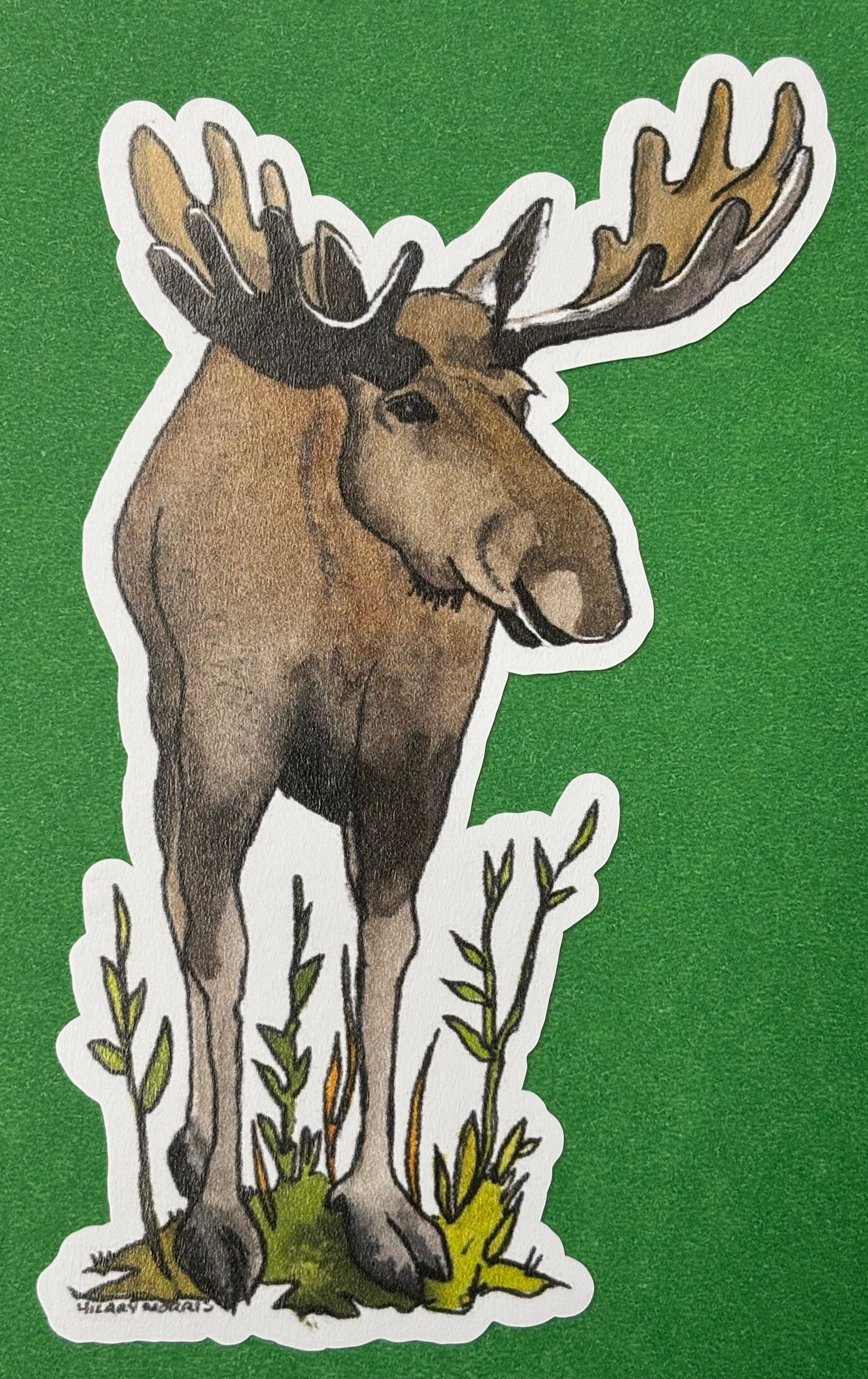 Stickers - Canadian Animals