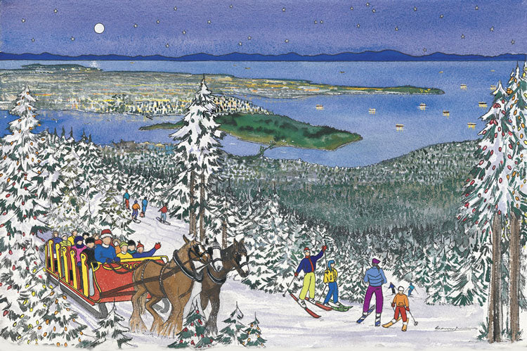 Dashing Through the Snow
