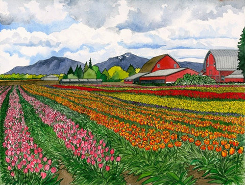 Skagit Valley Tulip Festival