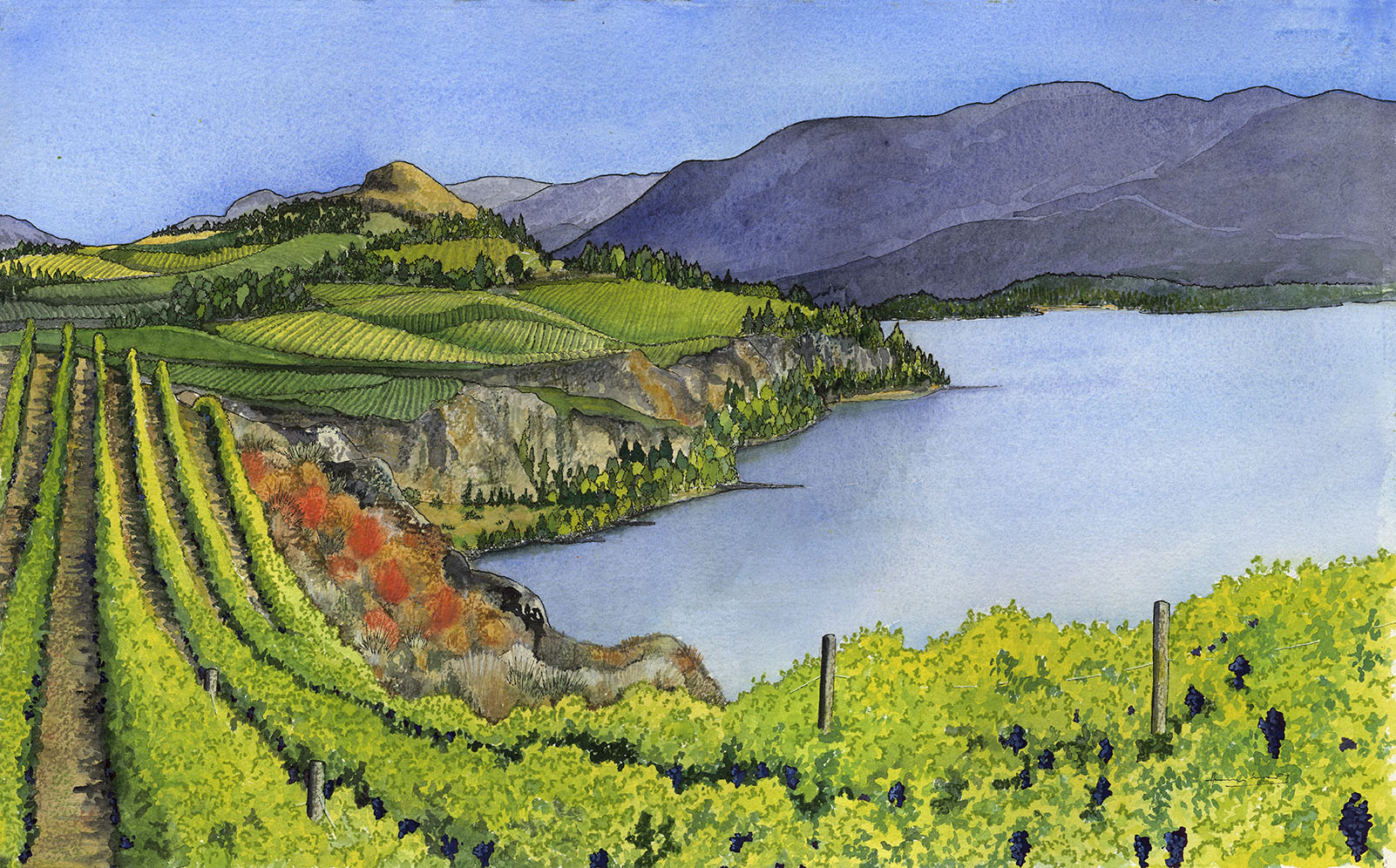 The Naramata Bench, Okanagan Valley